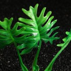 Растение искусственное аквариумное, 4 х 6 х 16 см - Фото 4