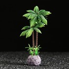 Растение искусственное "Пальма", 5 х 5 х 15 см - фото 295469549