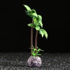 Растение искусственное «Пальма», 5×5×15 см - Фото 2