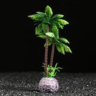 Растение искусственное "Пальма", 5 х 5 х 15 см - Фото 3