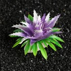 Растение искусственное аквариумное, 11х9х6 см, (набор 2 шт), фиолетовый - Фото 3
