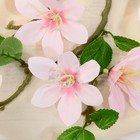 Цветы искусственные «Зефирантес», 56×8 см, розовые - фото 59334397 Цветы искусственные «Зефирантес», 56×8 см, розовые - фото 59334397
