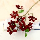 Цветы искусственные «Зефирантес», 56×8 см, бордовые - фото 59334398