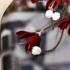 Цветы искусственные «Белоцветник шелковый», 74×4 см, бордовые 7474834