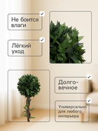 Дерево искусственное «Бонсай», h=70 см, шар d=25 см - Фото 2