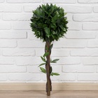 Дерево искусственное «Бонсай», h=70 см, шар d=25 см - Фото 3