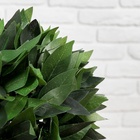 Дерево искусственное «Бонсай», h=70 см, шар d=25 см - Фото 4