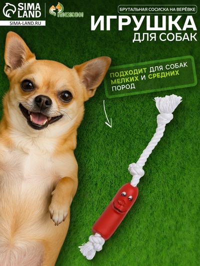 Игрушка для собак «Брутальная сосиска на верёвке», 14 см