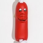 Игрушка для собак «Брутальная сосиска на верёвке», 14 см - Фото 5