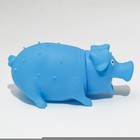 Игрушка пищащая "Весёлая свинья" для собак, хрюкающая, 19 см, голубая - фото 7779652