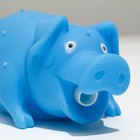 Игрушка пищащая "Весёлая свинья" для собак, хрюкающая, 19 см, голубая - фото 7779654
