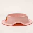 Миска пластиковая, 21,5 х 5,5 см, розовая - Фото 3
