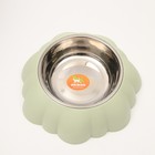 Миска металлическая на пластиковом основании, 21 х 21 х 6 см, зелёная - фото 35367639