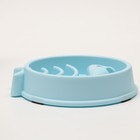 Миска "Медленное кормление", от переедания, 21 х 21 х 4,5 см, голубая - фото 44758088