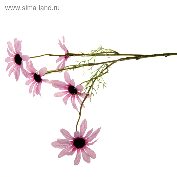 цветы искусственные дороникум ромашка 53 см фиолетовый - Фото 1