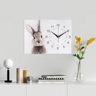 Часы-картина настенные "Заяц", плавный ход, 30 х 40 см - фото 2975103