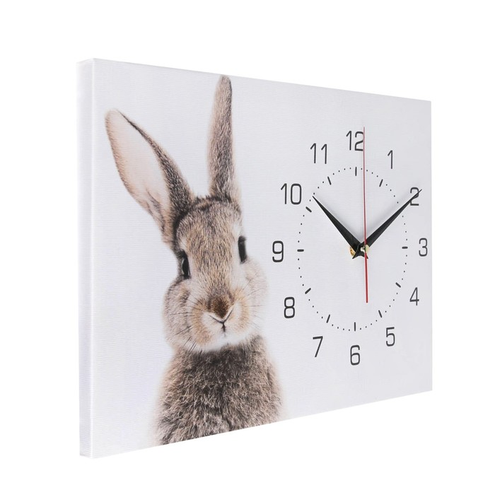 Часы-картина настенные "Заяц", плавный ход, 30 х 40 см - фото 1905927260