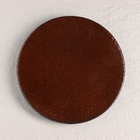 Камень для выпечки круглый (подходит для тандыра), 21х2 см - фото 9383655