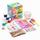 Набор для творчества и опытов «Чудо-сад, выращиваем травку» Смешарики, прорастайка - фото 24116972