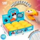 Антистресс тянучка «Пёсик», мялка с пастой, в шоубоксе - Фото 1