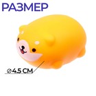 Антистресс тянучка «Пёсик», мялка с пастой, в шоубоксе - Фото 2