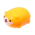 Антистресс тянучка «Пёсик», мялка с пастой, в шоубоксе - Фото 3