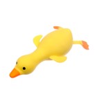 Тянущаяся игрушка-антистресс «Утка», с песком, цвета МИКС, в шоубоксе - Фото 3
