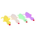 Мялка антистресс тянучка «Гусь», с песком, в шоубоксе, МИКС - Фото 4