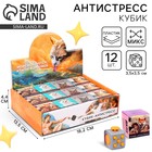 Фиджет кубик антистресс «Котики», МИКС, в шоубоксе - Фото 1