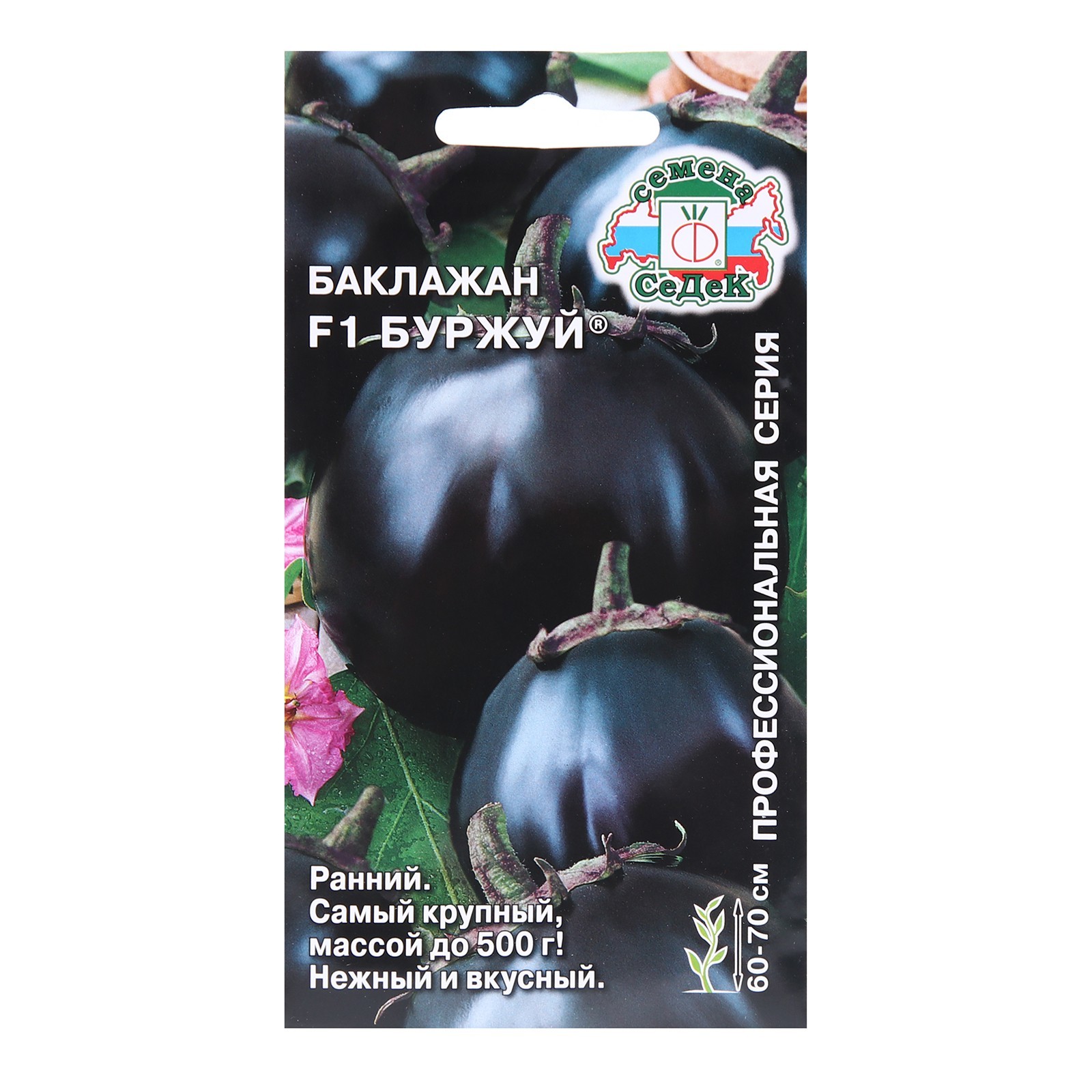 Баклажан буржуй фото