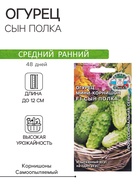 Семена Огурец «Сын полка F1», 0.3 г - Фото 1