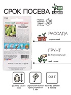 Семена Огурец «Сын полка F1», 0.3 г - Фото 2