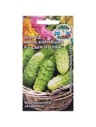 Семена Огурец «Сын полка F1», 0.3 г - Фото 5