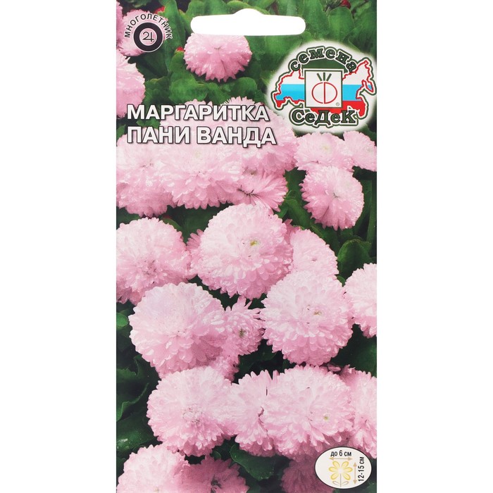 Семена цветов маргаритка «Пани Ванда», 0.05 г - Фото 1