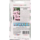 Семена цветов маргаритка «Пани Ванда», 0.05 г - Фото 2