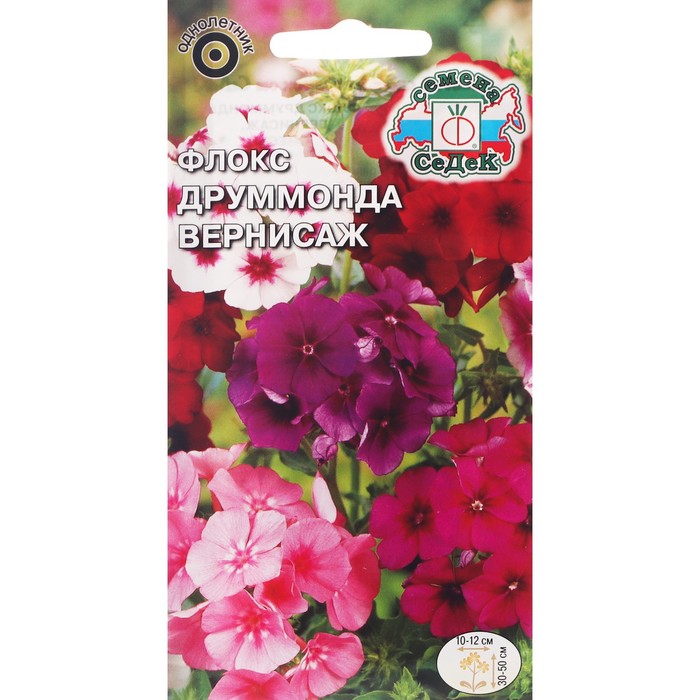 Семена Цветов Флокс Друммонда «Вернисаж», 0.25 г, «СеДеК» - Фото 1