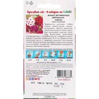 Семена Цветов Флокс Друммонда «Вернисаж», 0.25 г, «СеДеК» - Фото 2