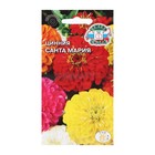 Семена цветов Цинния "Санта Мария "7 г - фото 11908675