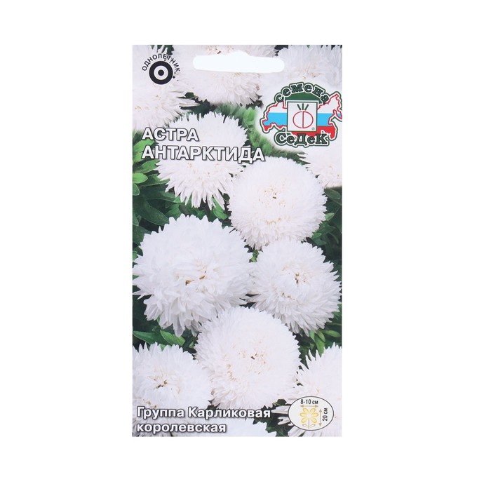 Семена Цветов Астра "Антарктида "0.2 г - Фото 1