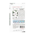 Семена Цветов Астра "Антарктида "0.2 г - Фото 2