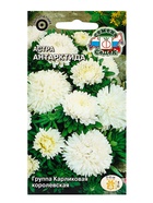Семена Цветов Астра "Антарктида "0.2 г - Фото 3