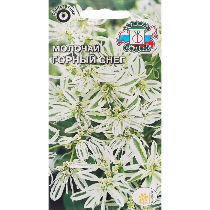 Семена цветов Молочай "Горный снег "0.2 г - Фото 1