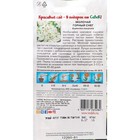 Семена цветов Молочай "Горный снег "0.2 г - Фото 2