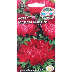 Семена цветов Астра "Мадам Бовари "0.1 г