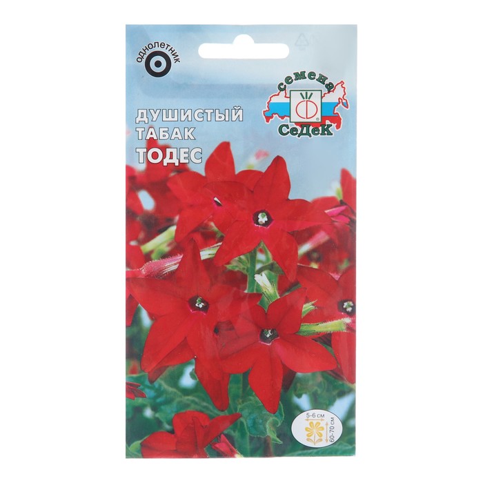 Семена цветов Душистый "Тодес "0.1 г - Фото 1