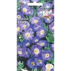 Семена цветов Нолана "Бриз "0.2 г - Фото 1