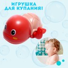 Игрушка заводная «Черепашка», водоплавающая, цвета МИКС - Фото 4