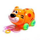 Каталка на верёвке «Тигрёнок», с сортером - фото 24596232