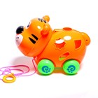 Каталка на верёвке «Тигрёнок», с сортером - фото 24596233