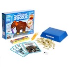 Набор для опытов «Ледниковая эпоха», мамонт - фото 119046575 Набор для опытов «Ледниковая эпоха», мамонт - фото 119046575